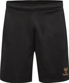 hummel Poly Shorts Trainingshose kurz schwarz/gold (Junior)