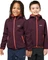 Jack Wolfskin Fourwinds Funktionsjacke amaranth (Junior) Vorschaubild