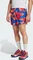 adidas Terrex Multi Light Printed Laufhose kurz semi lucid blue/pure ruby/semi impact orange/warm clay (Herren) Vorschaubild