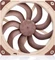 Noctua NF-A14x25 G2 LS-PWM, 140mm Vorschaubild