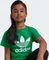 adidas Adicolor Trefoil T-Shirt kurzarm grün (Junior) Vorschaubild