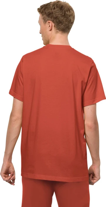 Jack Wolfskin Essential T-Shirt kurzarm intense rust (Herren)