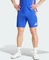 adidas Tiro 24 Pro Training Trainingshose kurz lucid blue/app solar red (Herren) Vorschaubild
