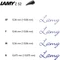 Lamy Lx ruthenium, rechte Hand, fein Vorschaubild
