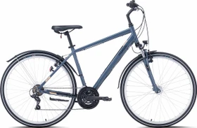 Pegasus Avanti Sport 18 graphite grey Modell 2021 (Herren)