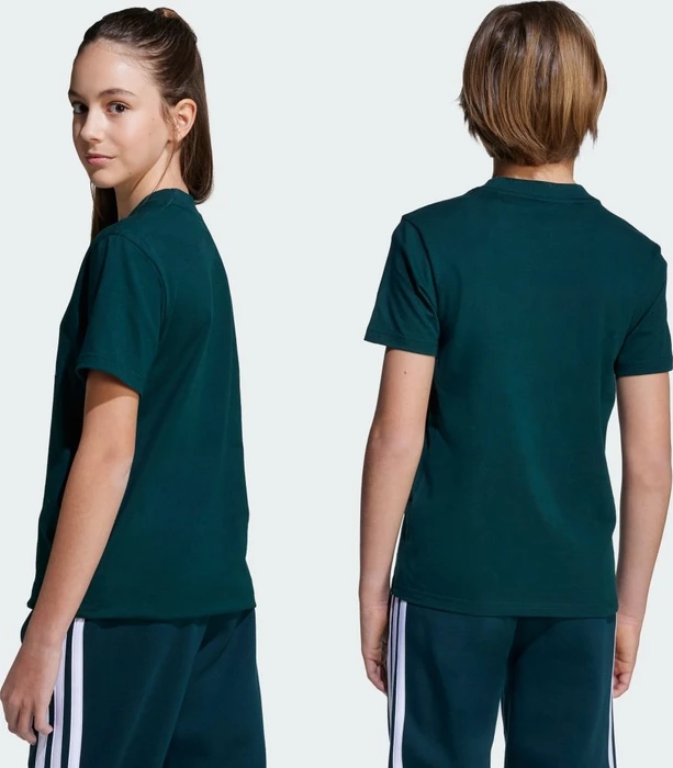 adidas Essentials T-Shirt kurzarm aurora ivy/white (Junior)