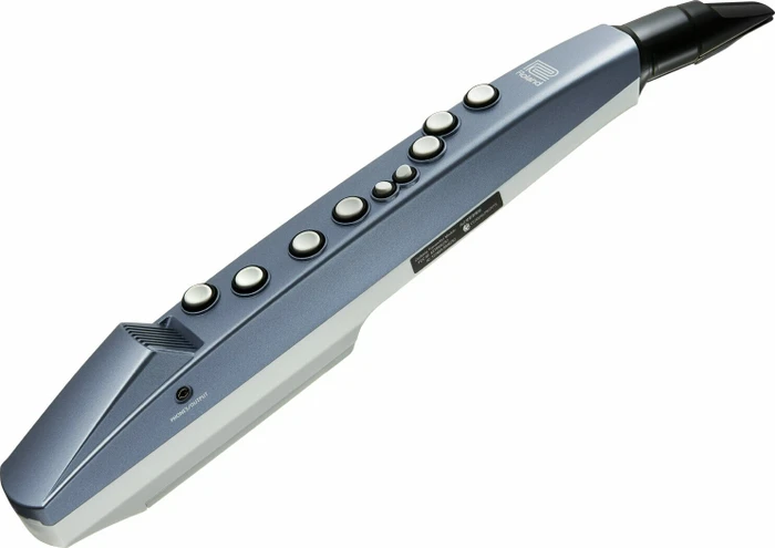 Roland Aerophone mini