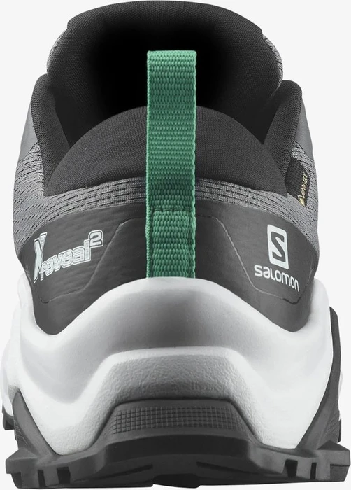 Salomon X Reveal 2 GTX quiet shade/black/mint leaf (Damen)