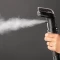 Bissell Spotclean Hydrosteam Pro Waschsauger Vorschaubild