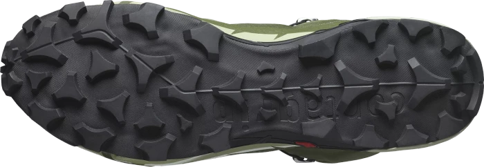 Salomon Cross Hike 2 Mid GTX olive night/moss grey/black (Herren)