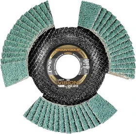 Rhodius Vision Cool Fächerschleifscheibe K80, 125x22.23mm, 10 Stück