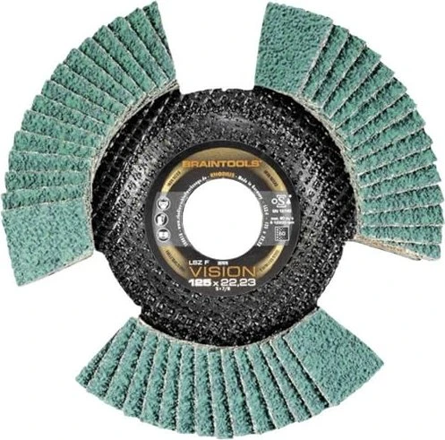 Rhodius Vision Cool Fächerschleifscheibe K80, 125x22.23mm, 10 Stück