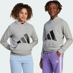 adidas Essentials Hoodie medium grey heather/black (Junior)