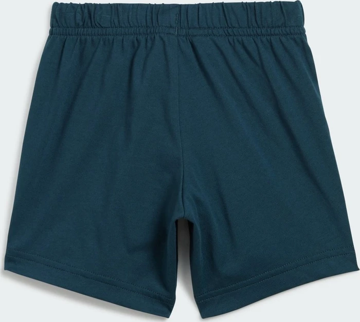 adidas Essentials Organic Cotton T-Shirt and Shorts Set light aqua/shadow violet (Junior)
