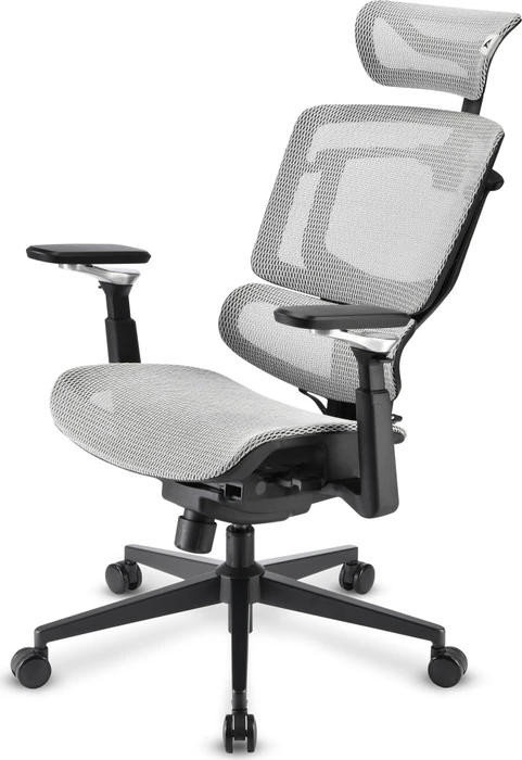 Sharkoon OfficePal C50M Bürostuhl, grau