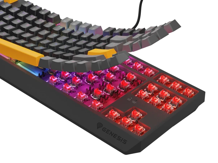 Genesis Thor 230 TKL, Anchor Gray Positive, LEDs RGB, hot-swap, Outemu Red, USB, US