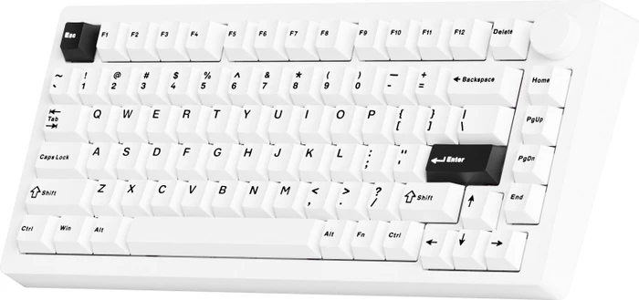Akko Monsgeek M1 V5, Black on White, weiß, LEDs RGB, hot-swap, Mirror, USB/Bluetooth, US