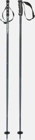 Head Multi Performance Alpin Skistock grau/weiß (Modell 2025/2026)