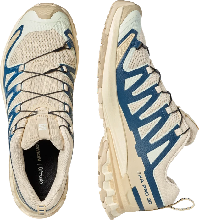 Salomon XA Pro 3D V9 Lifelong eucalyptus/iron (Herren)