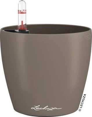 Lechuza Classico Color 12
