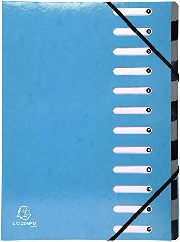 Exacompta Harmonika Ordnungsmappe, 12 Fächer, A4, hellblau