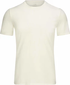 Icebreaker Anatomica Crewe Funktionsshirt kurzarm snow (Herren)