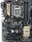 ASUS B150-Pro D3 (Intel 1151) Vorschaubild