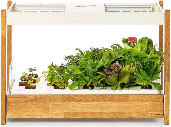 Click & Grow 25 Indoor Garden weiß
