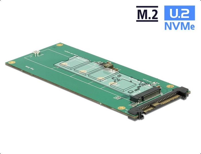 DeLOCK U.2 2.5" -> M.2 PCIe