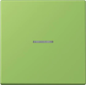 Jung HOME Taster 1-fach, vert 31