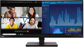 Lenovo ThinkVision P34w-20 [63F2], 34.14"