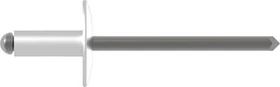 Gesipa A4 Edelstahl Großkopf Blindniete 4.8x25mm, 200 Stück