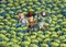 Clementoni Impossible Disney Toy Story 4 Vorschaubild