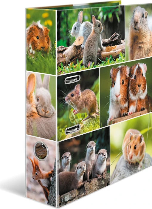 Herma Ordner 2-Ring mit Motiv, 70mm, A4, Animals Nagetiere