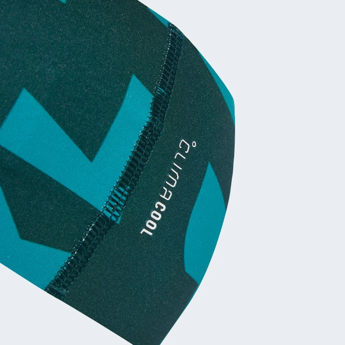 adidas Terrex Climacool Graphic Stirnband aurora ivy/pure teal
