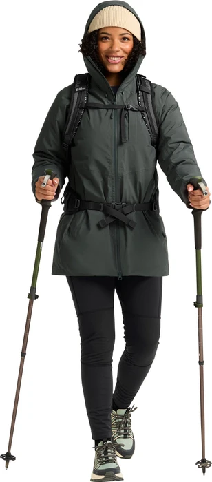 Jack Wolfskin Icecape 2L Down Funktionsjacke slate green (Damen)