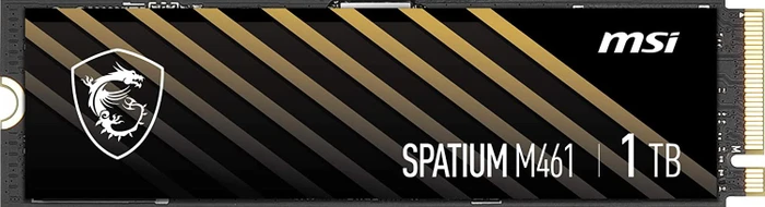 MSI Spatium M461 1TB, M.2 2280 / M-Key / PCIe 4.0 x4