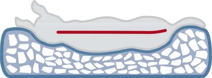 Trixie Vital Kissen Bendson (oval), 100x70cm, grau