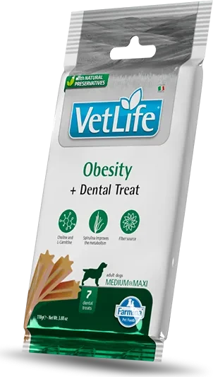 Dental Treat Obesity Medium & Maxi, 100g