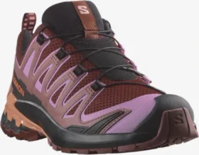 Salomon XA Pro 3D V9 rum raisin/orchid bouquet/canyon clay (Damen)