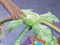 Mattel Fisher-Price Spielbogen Rainforest Erlebnisdecke Vorschaubild