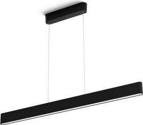 Philips Hue White and Color Ambiance Ensis Pendelleuchte schwarz