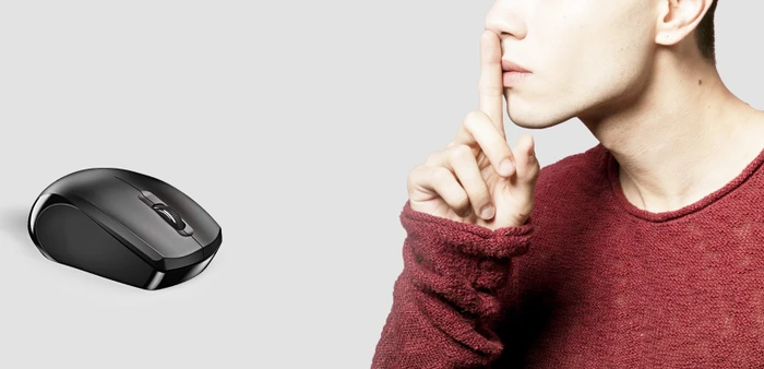 Genius NX-8006S Wireless Silent Mouse schwarz, USB