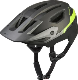 Alpina Rootage 2 MIPS Helm gun black neon