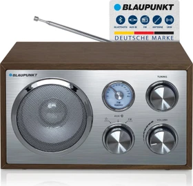 Blaupunkt RXN 180 braun