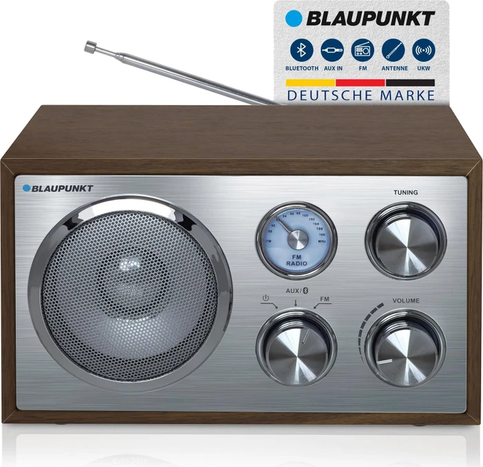 Blaupunkt RXN 180 braun