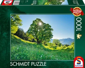 Schmidt Spiele Berg-Ahorn im Sonnenlicht - St. Gallen, Schweiz