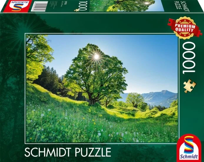 Schmidt Spiele Berg-Ahorn im Sonnenlicht - St. Gallen, Schweiz