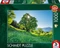 Schmidt Spiele Berg-Ahorn im Sonnenlicht - St. Gallen, Schweiz Vorschaubild