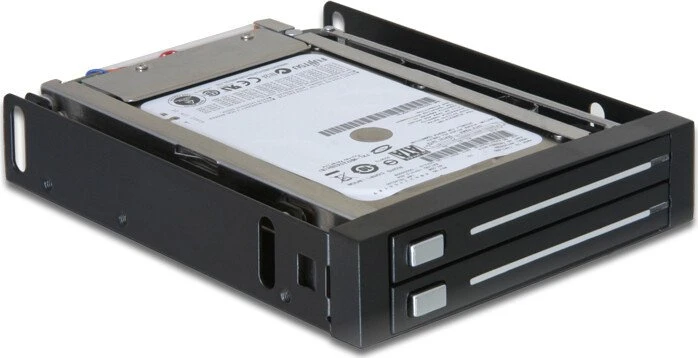 DeLOCK 3.5" Wechselrahmen für 2x 2.5" SATA